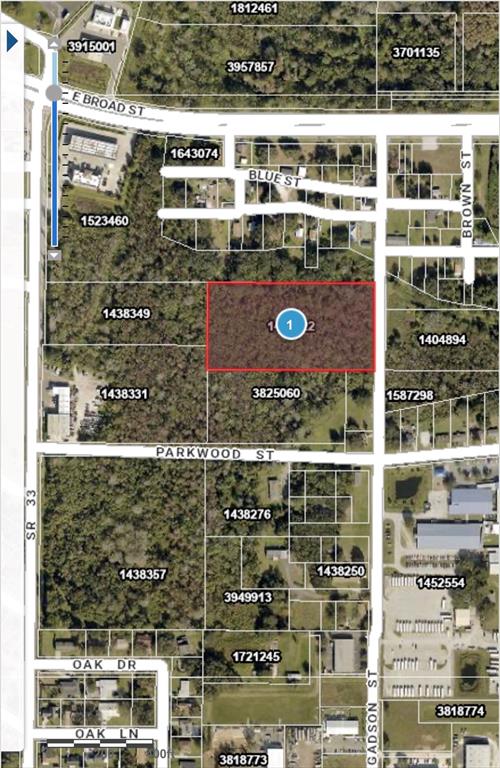 This is a map showing a rectangular parcel of land highlighted in red — GADSON STREET, GROVELAND, FL