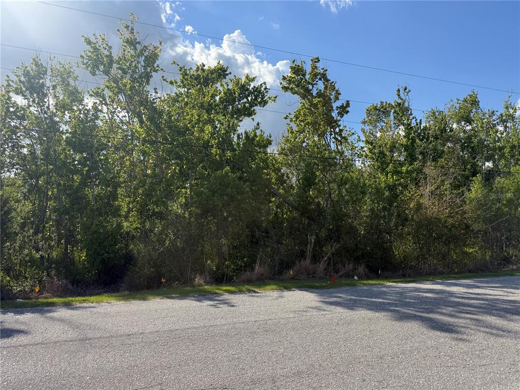 A wooded, undeveloped lot sits behind a paved road with small survey flags visible — GADSON STREET, GROVELAND, FL