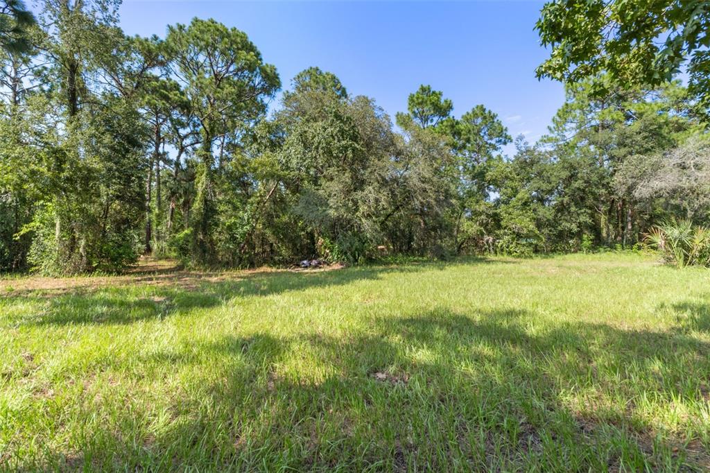 A grassy, open lot is bordered by a dense line of mature trees and foliage — 7056 VANCE STREET, BROOKSVILLE, FL