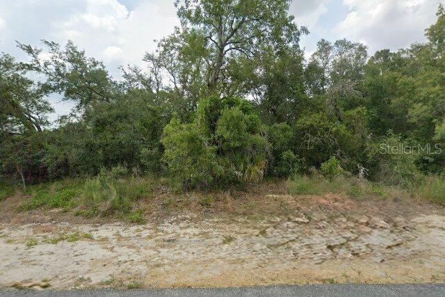 A vacant, wooded lot with sandy ground and dense trees under a cloudy sky — 10381 CLARION STREET, SPRING HILL, FL
