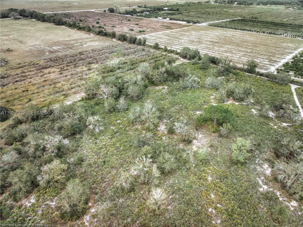 An aerial view shows a large, undeveloped plot of land with trees and brush — 701 Jolly Lane, Lorida FL 33857, LORIDA, FL