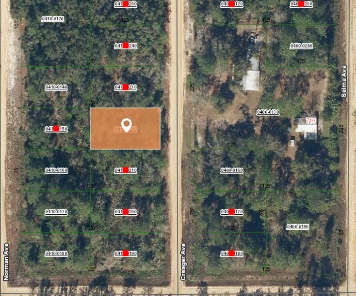 This is a satellite map showing a highlighted rectangular land parcel between two dirt roads — 003 Creager Avenue, FL 32148, FL
