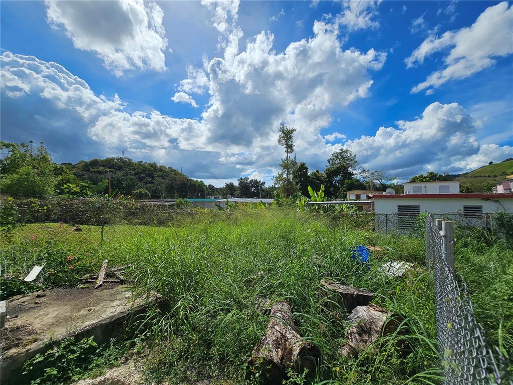 An overgrown vacant lot features a chain-link fence, scattered logs, and a distant residential building — Calle 5 CALLE BORINQUEN, VILLALBA, PR