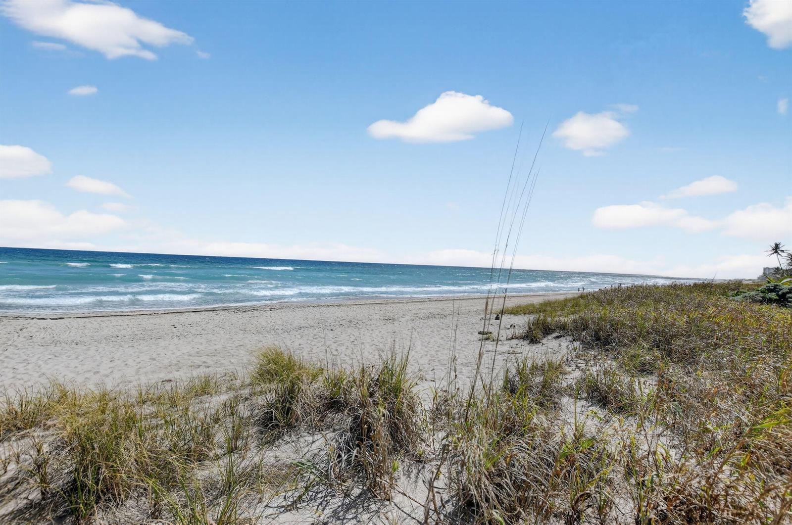 A sandy beach with dune grass leads to the ocean under a blue sky — 2121 N Ocean Boulevard # 705e, Boca Raton FL 33431, BOCA RATON, FL