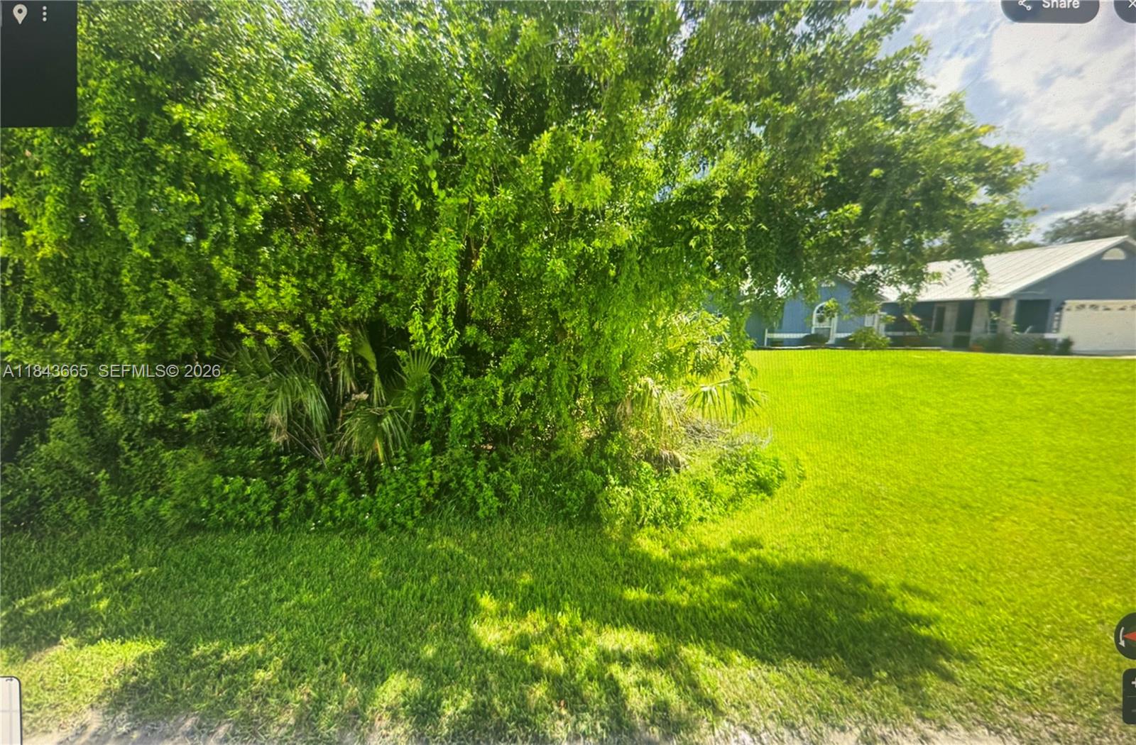 A large, dense green tree stands in the foreground of a grassy residential lawn — 8966 101st Ct, Vero Beach FL 32967, VERO BEACH, FL