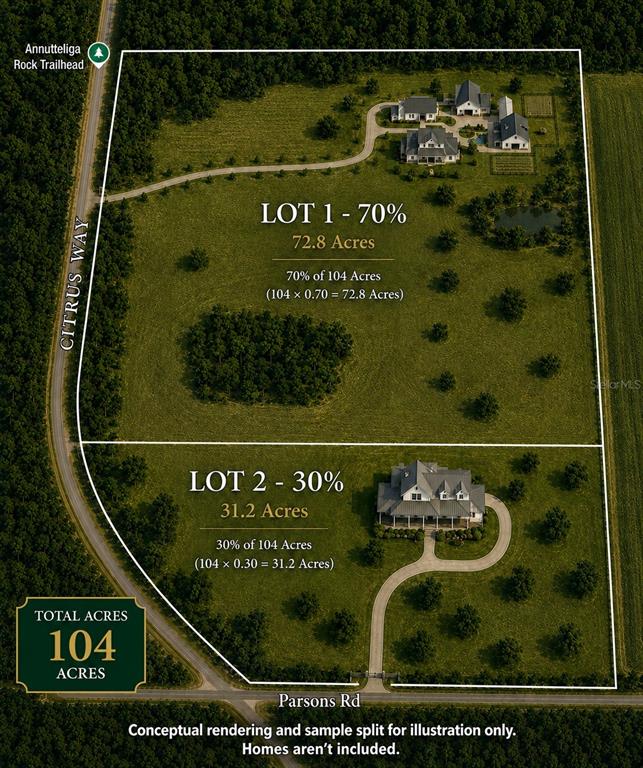 This is a conceptual rendering showing a 104-acre property split into two separate lots — 0 Citrus WAY (NE CORNER OF CITRUS WAY AND PARSONS RD), BROOKSVILLE, FL