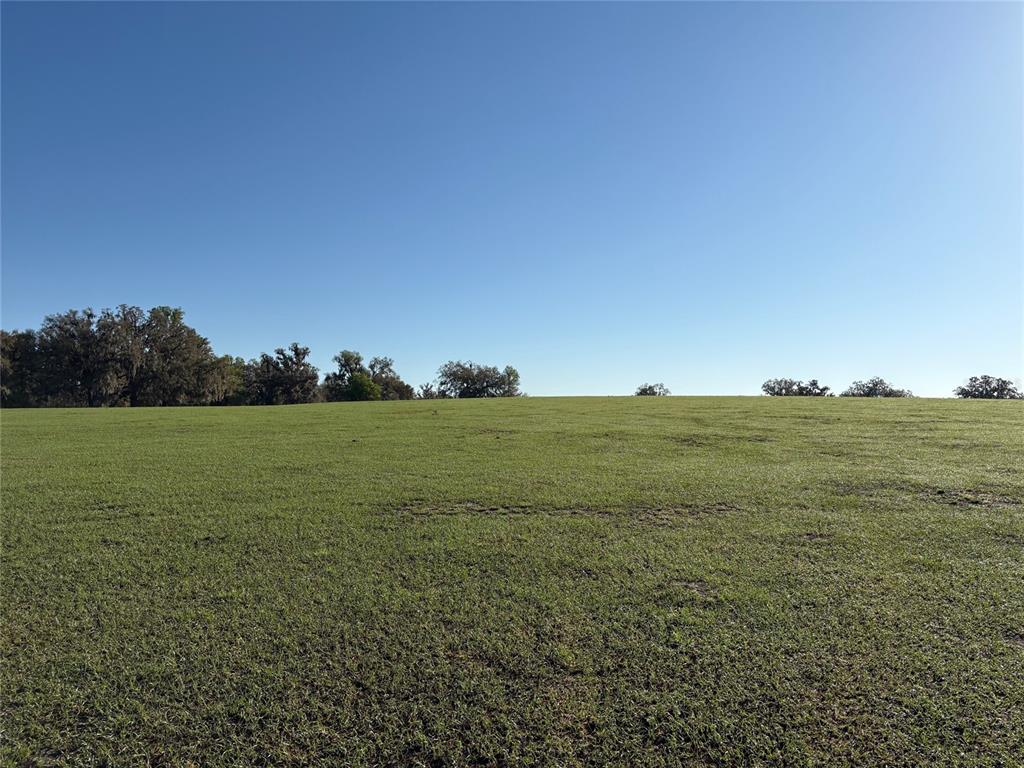 A vast, open green pasture under a clear blue sky with distant trees — 0 Citrus WAY (NE CORNER OF CITRUS WAY AND PARSONS RD), BROOKSVILLE, FL