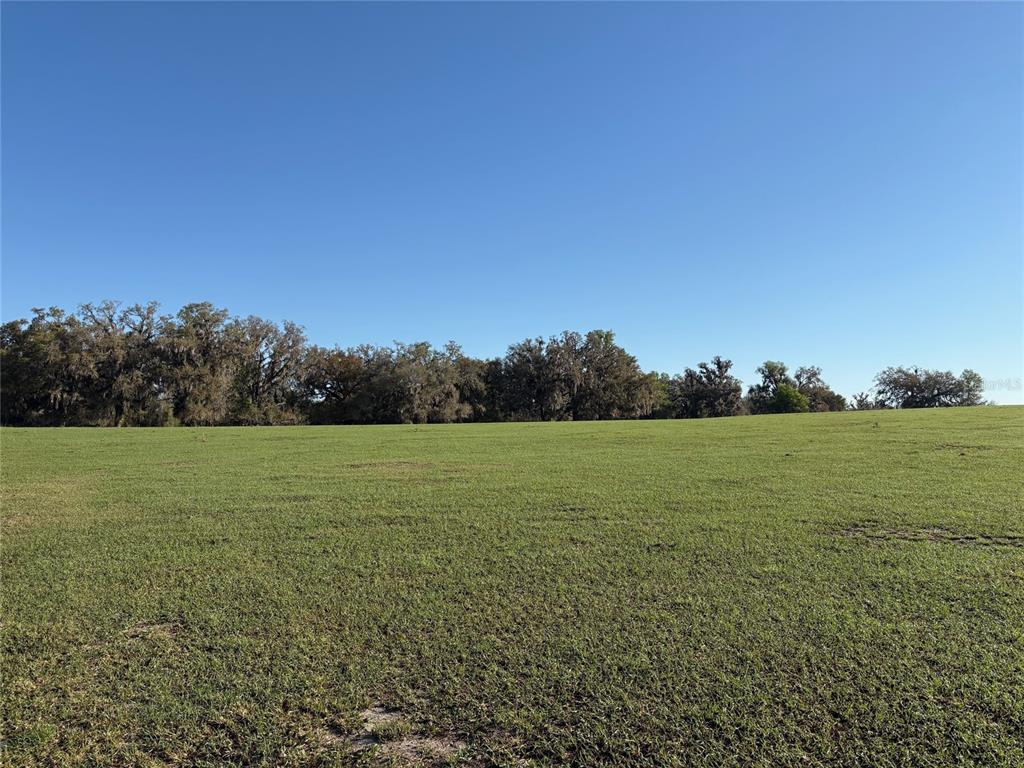 A wide, grassy field stretches toward a line of trees under a clear blue sky — 0 Citrus WAY (NE CORNER OF CITRUS WAY AND PARSONS RD), BROOKSVILLE, FL