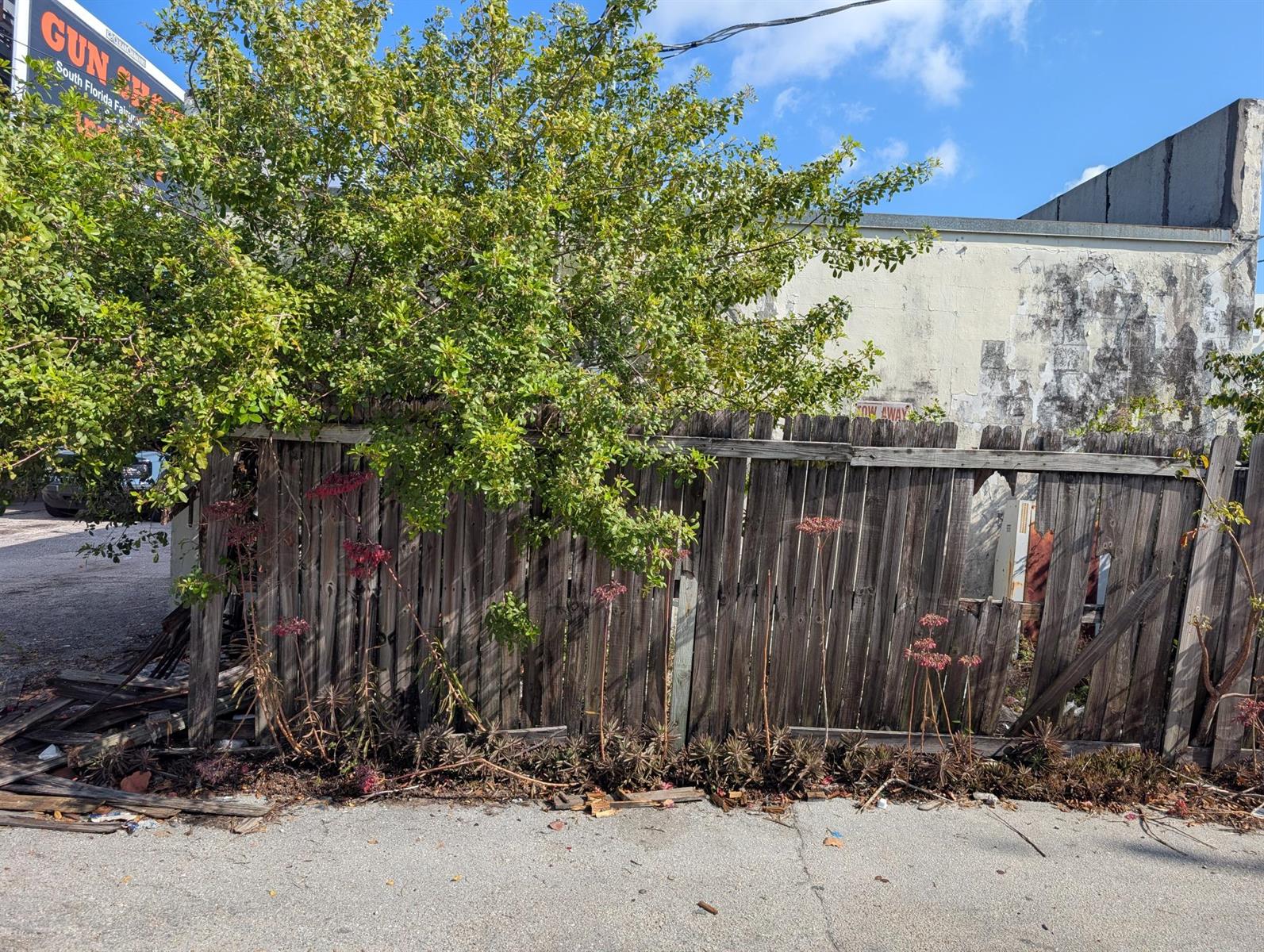 A weathered wooden fence stands in front of a tree and a stained concrete wall — 734 Belvedere Road, West Palm Beach FL 33405, WEST PALM BEACH, FL