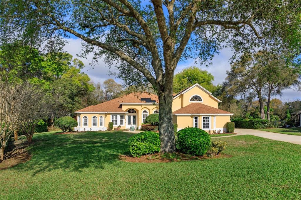 A yellow two-story house with a brown roof sits behind a large tree and lawn — 3712 CLYDEBANK COURT, APOPKA, FL