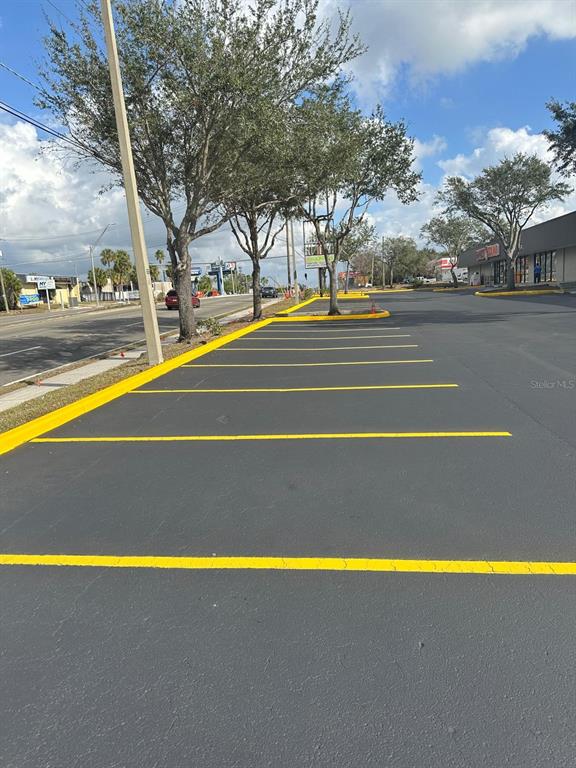 A paved parking lot with yellow-painted parking space lines and trees along the curb — 1727 E BUSCH BOULEVARD, TAMPA, FL