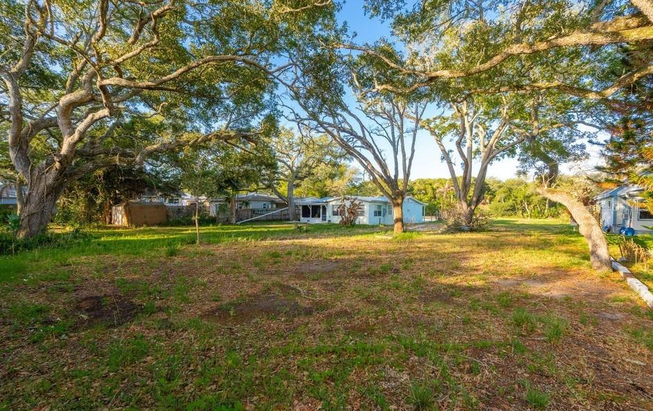 A large, grassy lot with mature oak trees and a house in the background — 2803 SAXON DRIVE, NEW SMYRNA BEACH, FL