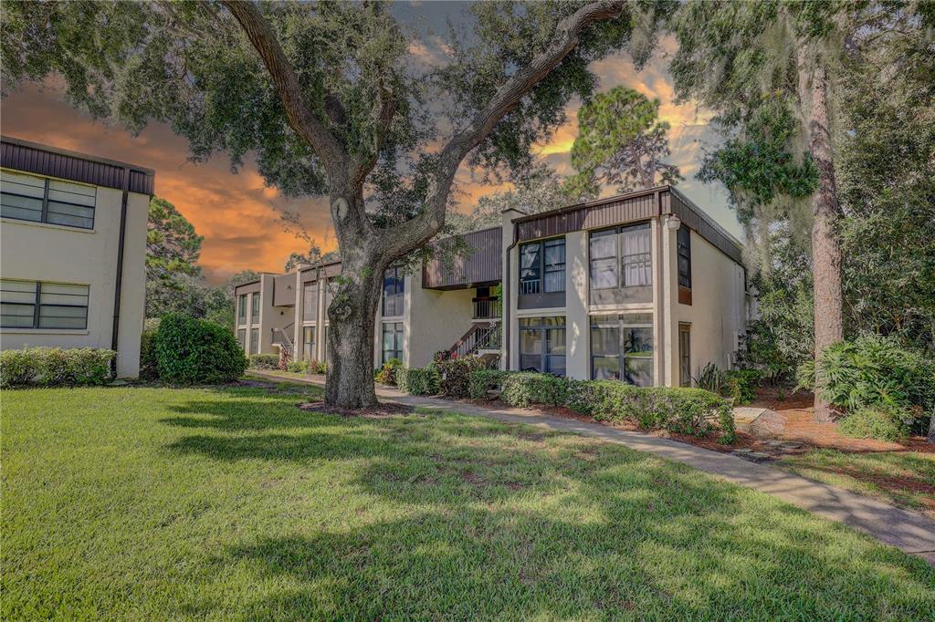 A two-story apartment building with a sidewalk, large oak tree, and lawn at sunset — 2400 WINDING CREEK BOULEVARD UNIT 26-203, CLEARWATER, FL