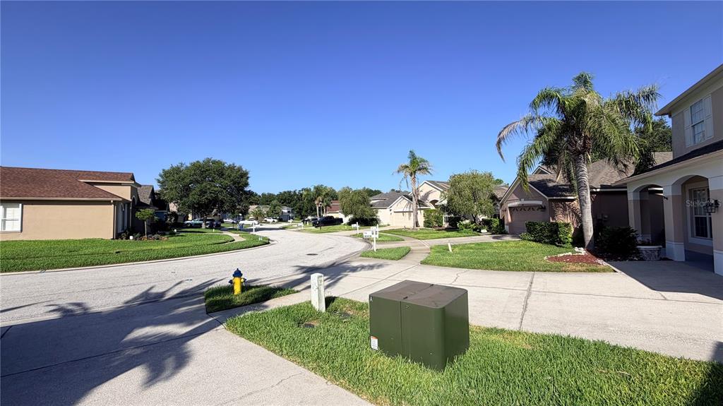 4712 MAPLETREE LOOP, WESLEY CHAPEL, FL — photo 2 of 30