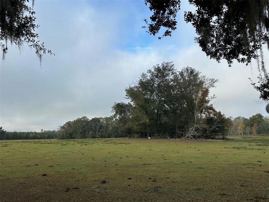 NW 160TH STREET, WILLISTON, FL — photo 2 of 12