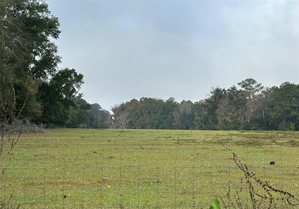NW 160TH STREET, WILLISTON, FL — photo 4 of 12