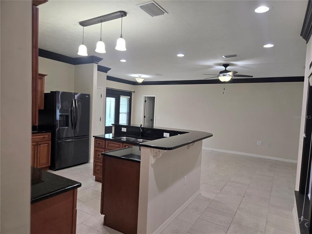 A kitchen with dark wood cabinets, black countertops, and a breakfast bar overlooks an open area — 19176 NW 228TH STREET, HIGH SPRINGS, FL