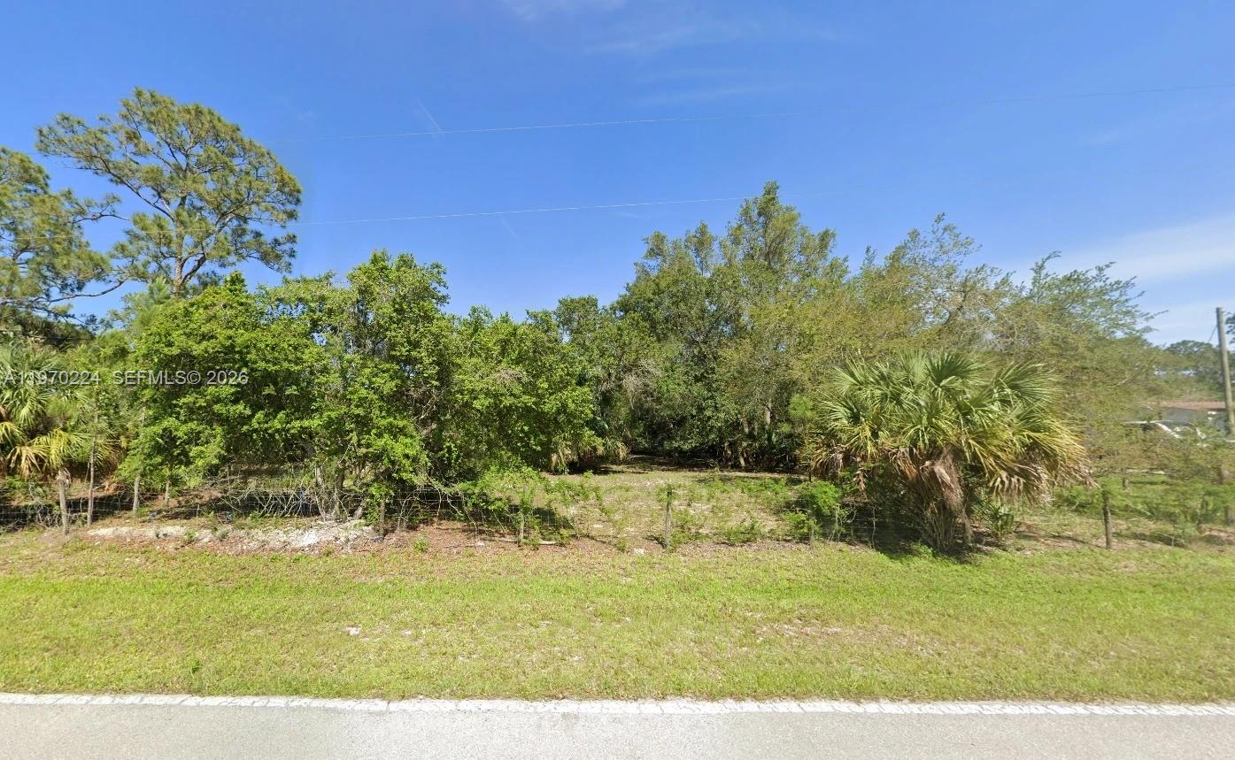 A vacant, grassy lot is enclosed by a wire fence and surrounded by dense trees — 745 S Mayoral St, Clewiston FL 33440, CLEWISTON, FL
