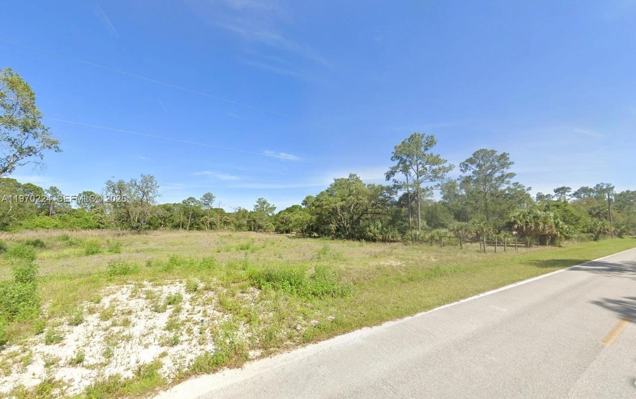 A vacant, grassy lot with scattered trees sits adjacent to a paved road — 745 S Mayoral St, Clewiston FL 33440, CLEWISTON, FL