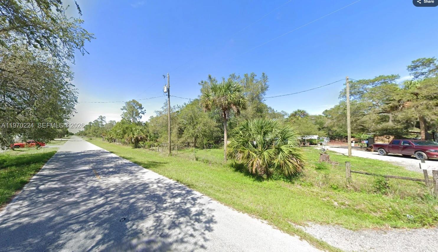 A paved road runs alongside a grassy, wooded lot with a palm tree and utility poles — 745 S Mayoral St, Clewiston FL 33440, CLEWISTON, FL