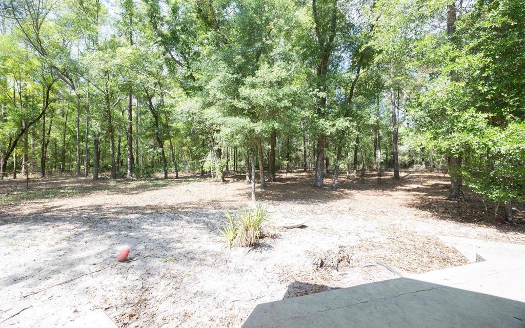 A single-story house with tan siding is partially obscured by trees and a lattice fence — 2060 NE 100TH ST ROAD, BRANFORD, FL