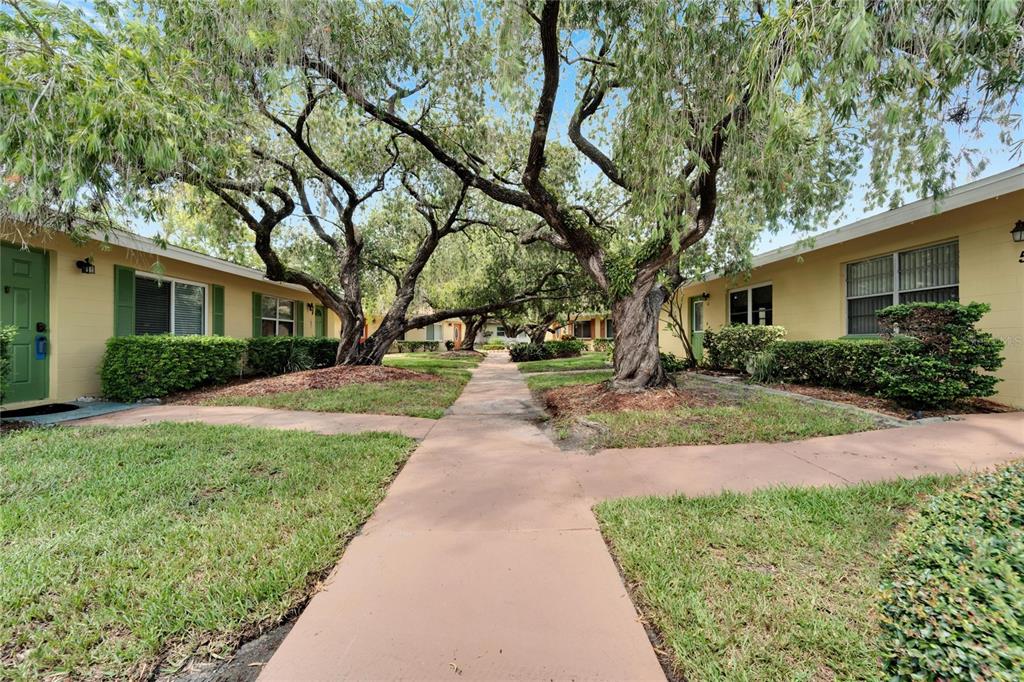 A paved walkway leads between two yellow apartment buildings shaded by large, mature trees — 401 DORCHESTER PLACE UNIT 58, SUN CITY CENTER, FL