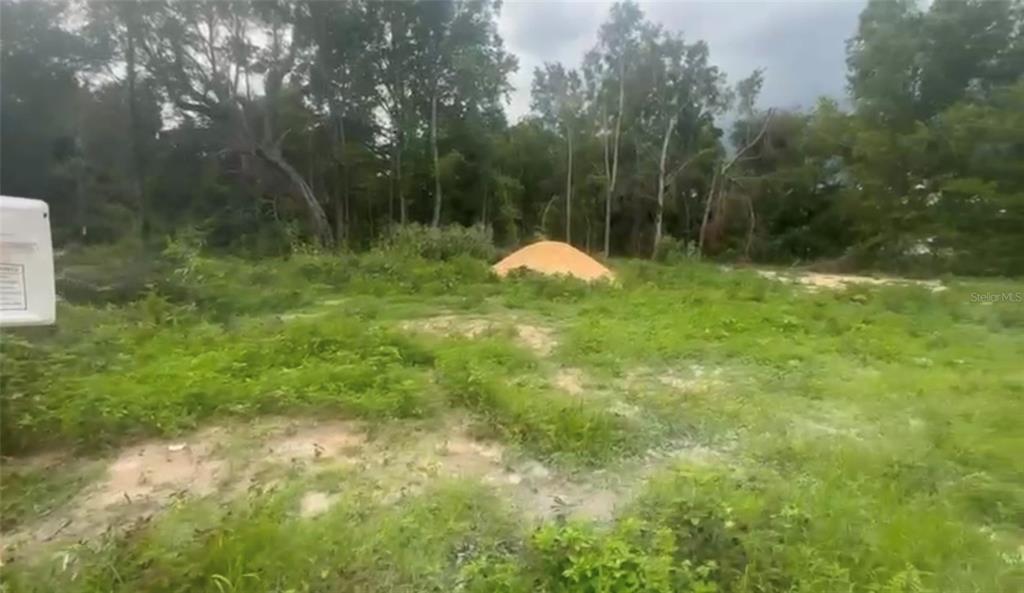 A grassy, undeveloped lot features a pile of dirt near a line of trees — 5311 NW 7TH STREET, OCALA, FL