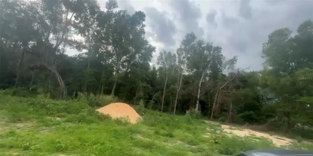 A grassy, undeveloped lot features a pile of sand near a line of trees — 5311 NW 7TH STREET, OCALA, FL
