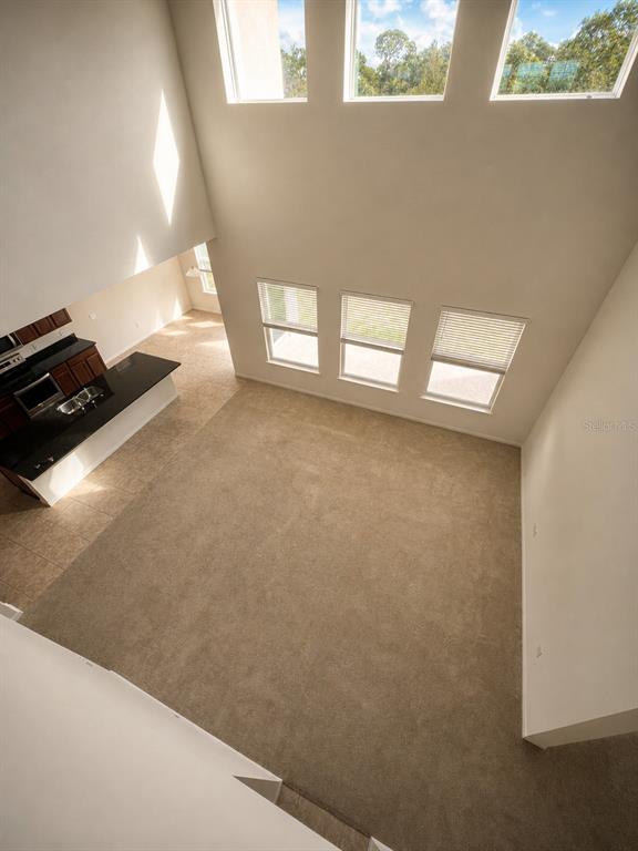 A high-angle view of a living room with carpeted floors and tall windows — 10103 AUSTRINA OAK LOOP, WINTER GARDEN, FL
