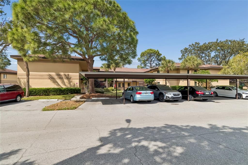 A parking lot with a covered carport sits in front of a multi-story apartment building — 2679 SABAL SPRINGS CIRCLE UNIT 102, CLEARWATER, FL