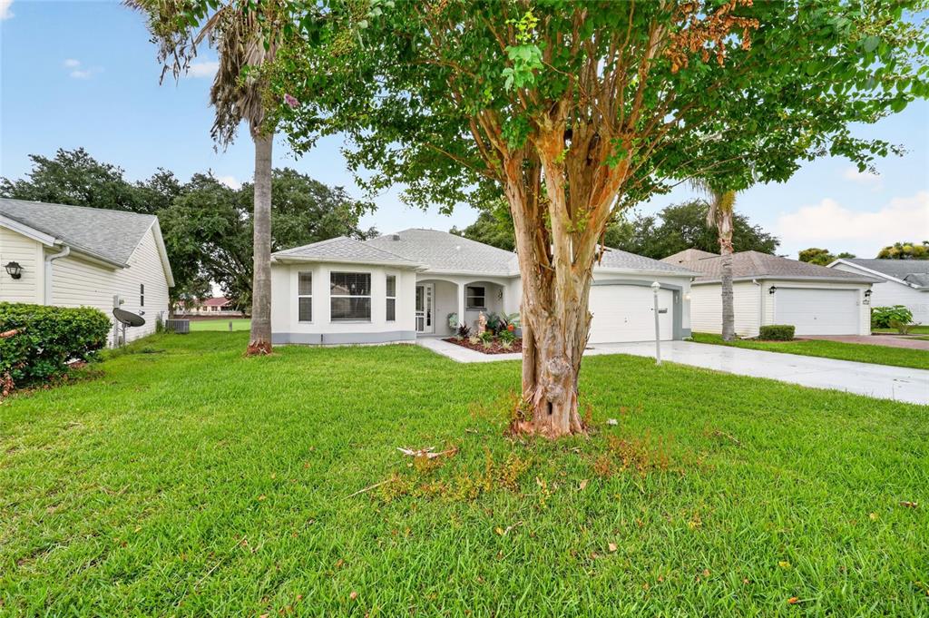 A single-story house with a white exterior, a bay window, and a large tree out front — 1832 MADERO DRIVE, LADY LAKE, FL