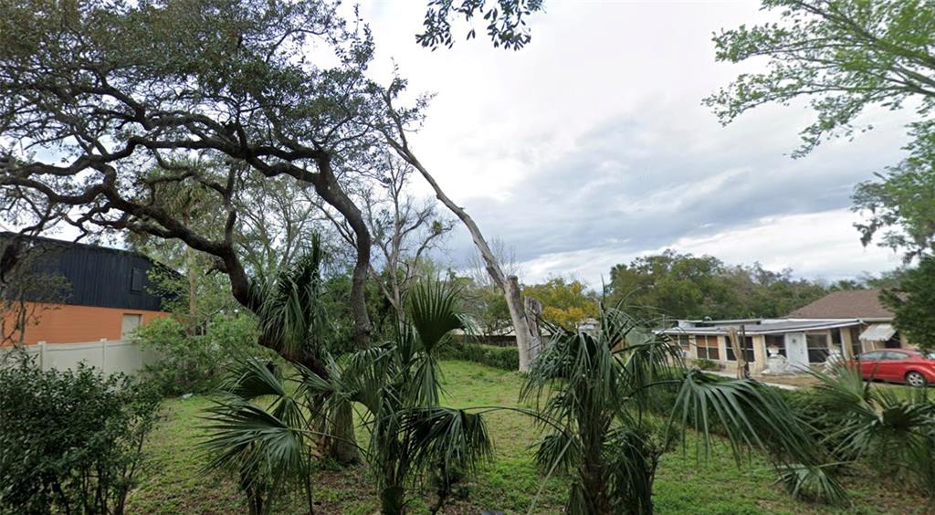 A grassy backyard features several palm trees and a large, leaning tree under a cloudy sky — 213 LINCOLN AVENUE, ORMOND BEACH, FL