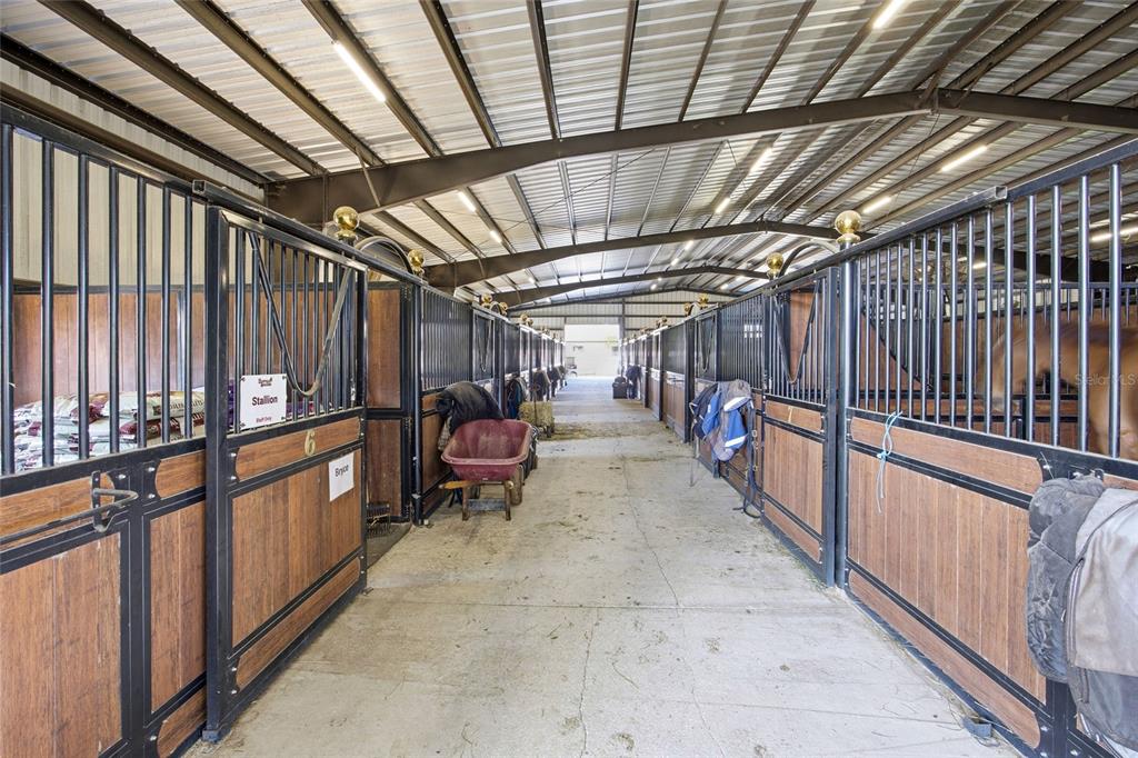 A horse stable aisle features rows of stalls with metal bars and wood paneling — 6025 NW 115TH AVENUE, OCALA, FL