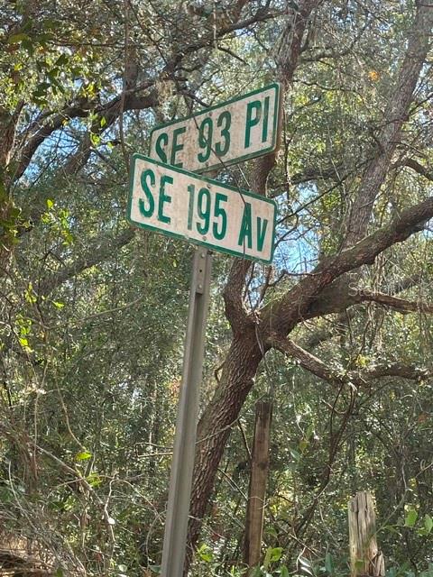 A street sign indicates the intersection of SE 93 Pl and SE 195 Av — 9345 SE 195TH AVENUE, OCKLAWAHA, FL