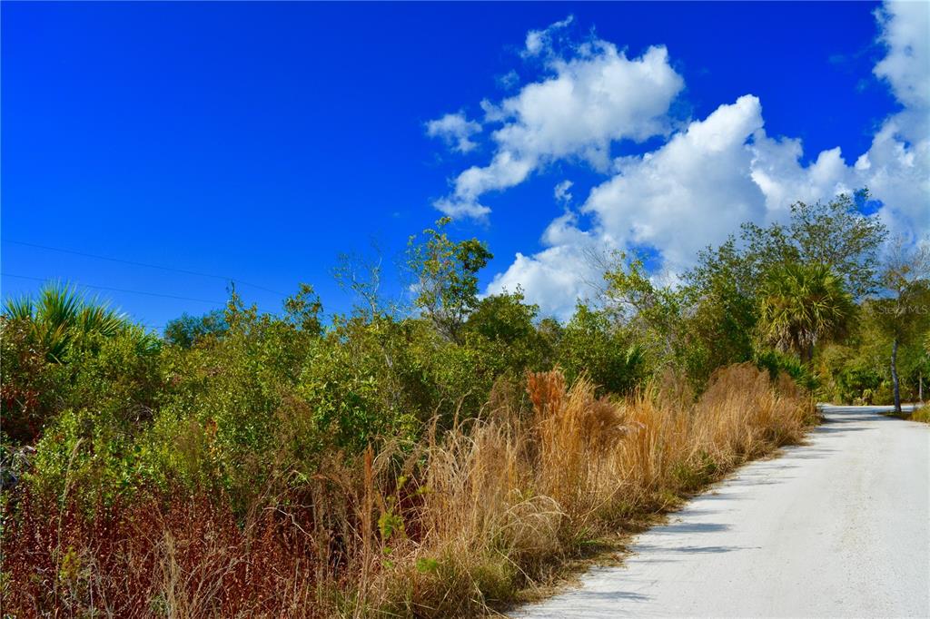A dirt road runs alongside a dense area of green shrubs and tall, dry grass — 27195 LOWRY AVENUE, PUNTA GORDA, FL