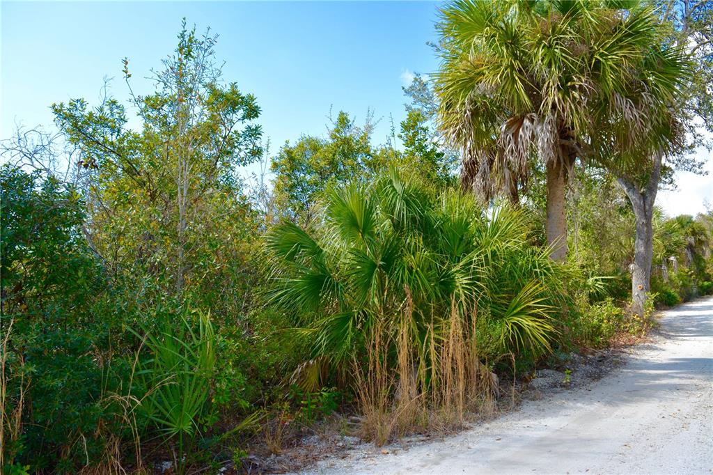 A dirt road runs alongside a dense area of Florida palm trees and native vegetation — 27195 LOWRY AVENUE, PUNTA GORDA, FL
