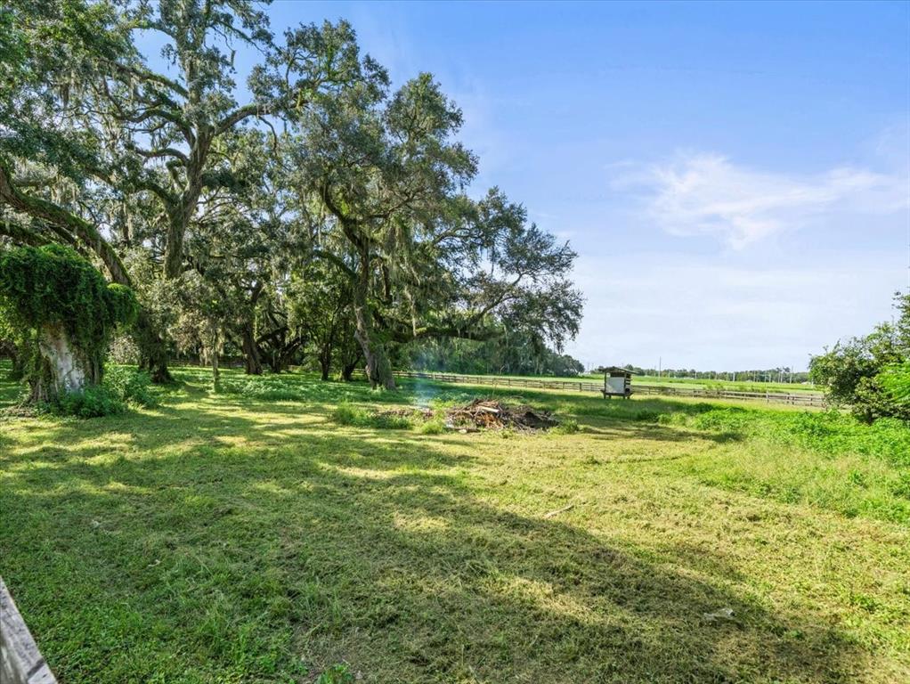 A grassy field features large oak trees, a small wooden structure, and a brush pile — 18750 KUKA LANE, SPRING HILL, FL