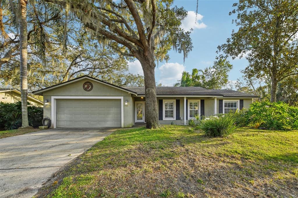 101 LUDLOW DRIVE