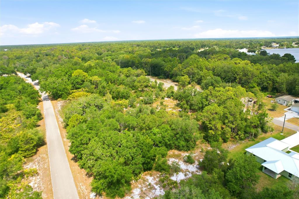 An aerial view shows a wooded residential lot bordered by a paved road and houses — 3392 GOSSAMER AVENUE, LAKE PLACID, FL
