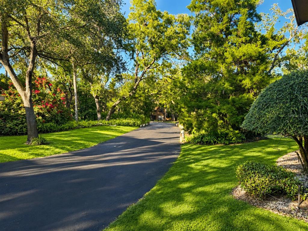 A paved driveway leads through a lush, tree-lined yard toward a house in the distance — 1503 LENNOX ROAD E UNIT 1503, PALM HARBOR, FL