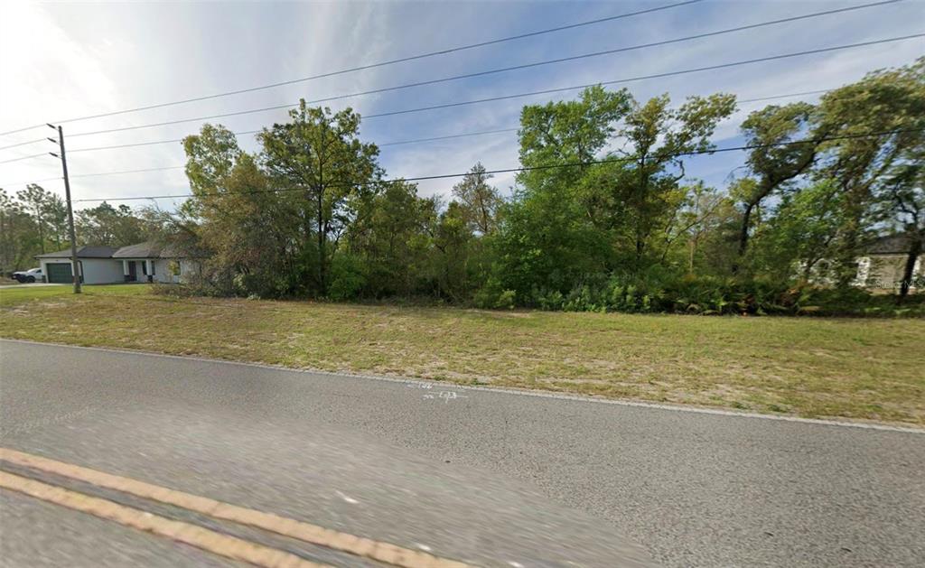 A vacant, grassy lot with dense trees and brush sits beside a paved road — 2470 W CITRUS SPRINGS BOULEVARD, CITRUS SPRINGS, FL