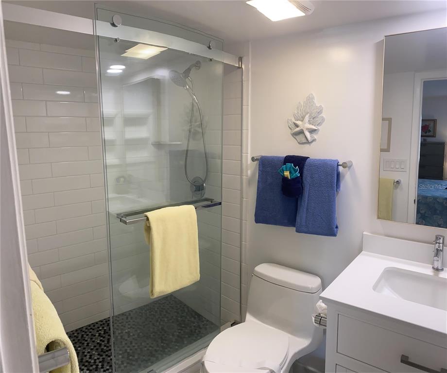 A bathroom features a glass-enclosed walk-in shower, a white vanity, and a toilet — 1571 S ATLANTIC AVENUE UNIT 202, NEW SMYRNA BEACH, FL