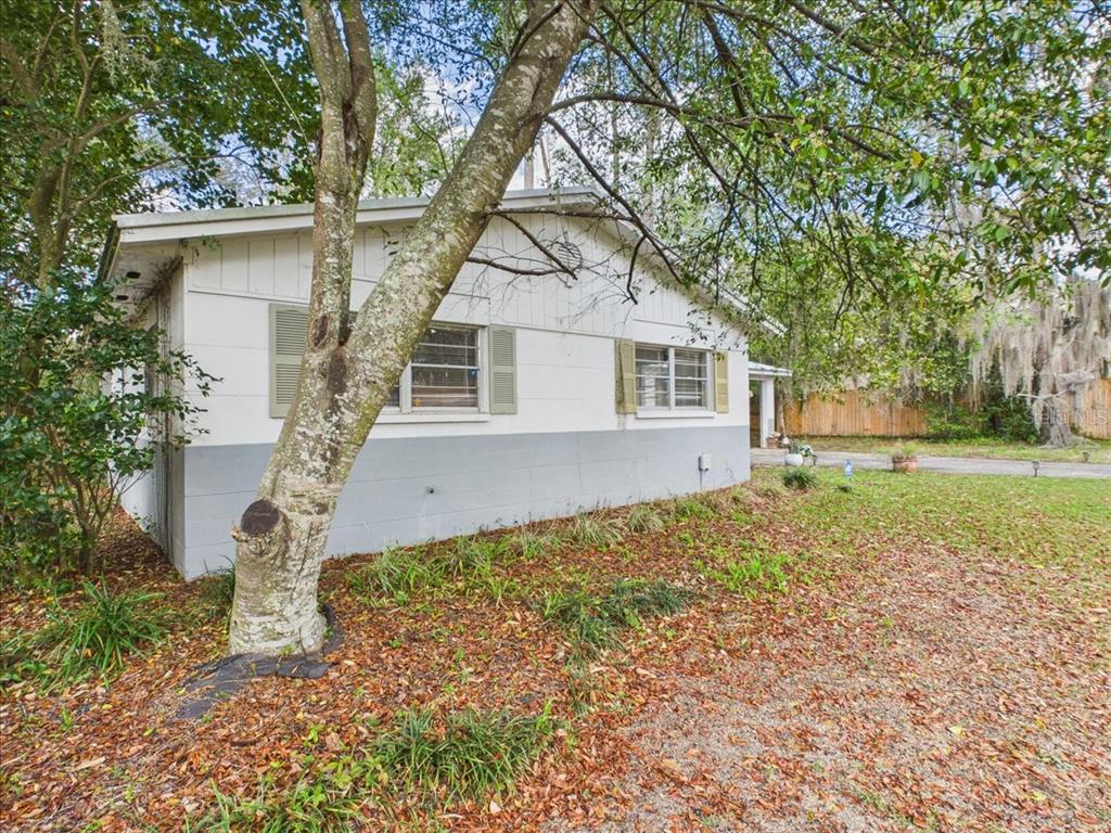 A white house with gray trim stands behind a large tree in a leaf-covered yard — 3314 NW 45TH AVENUE, GAINESVILLE, FL