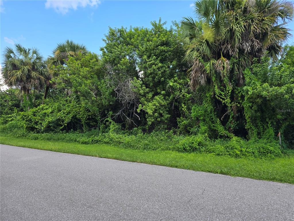 A paved road runs alongside a densely wooded lot with several tall palm trees — 4048 GALLO STREET, PORT CHARLOTTE, FL