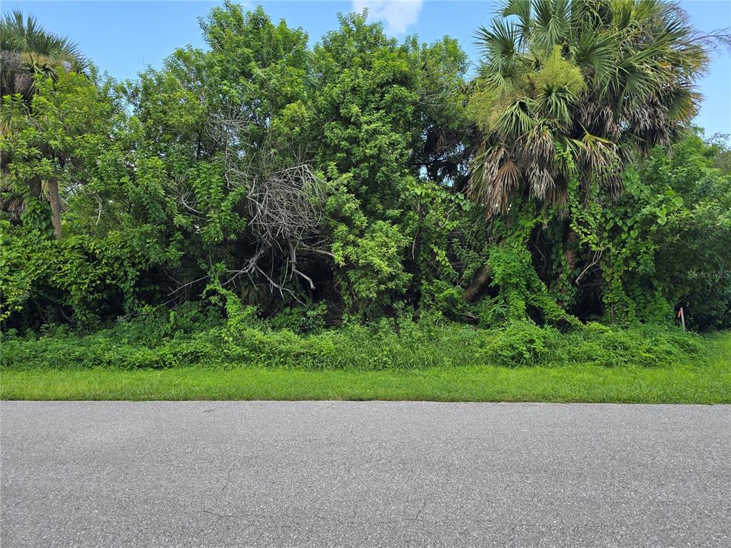 A dense, overgrown wooded lot sits behind a paved road and a grassy verge — 4048 GALLO STREET, PORT CHARLOTTE, FL