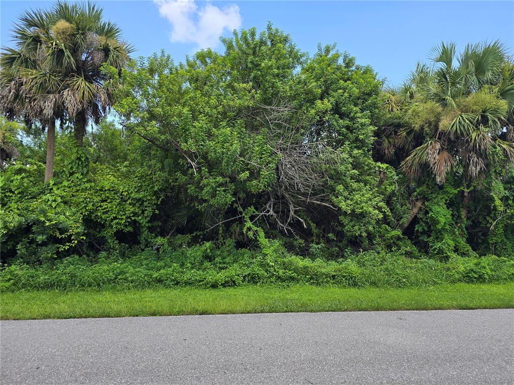 A view of a vacant, heavily wooded lot bordered by a paved road — 4048 GALLO STREET, PORT CHARLOTTE, FL