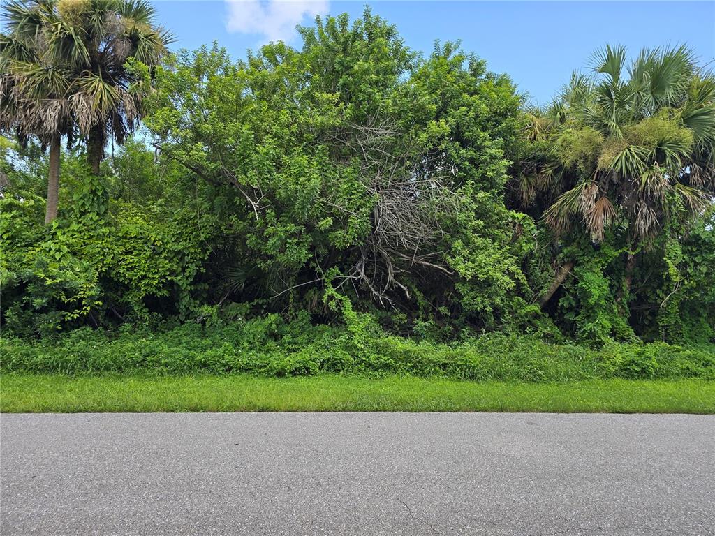 A paved road runs in front of a densely wooded lot with palm trees — 4048 GALLO STREET, PORT CHARLOTTE, FL
