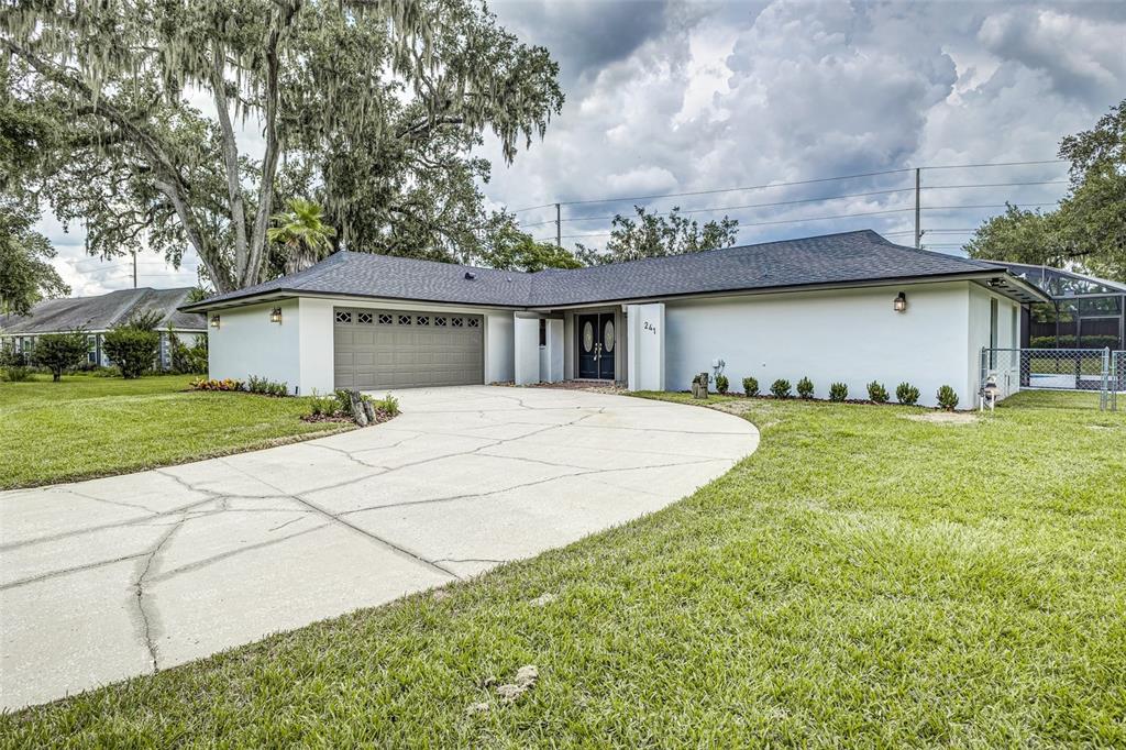 241 ASH LANE