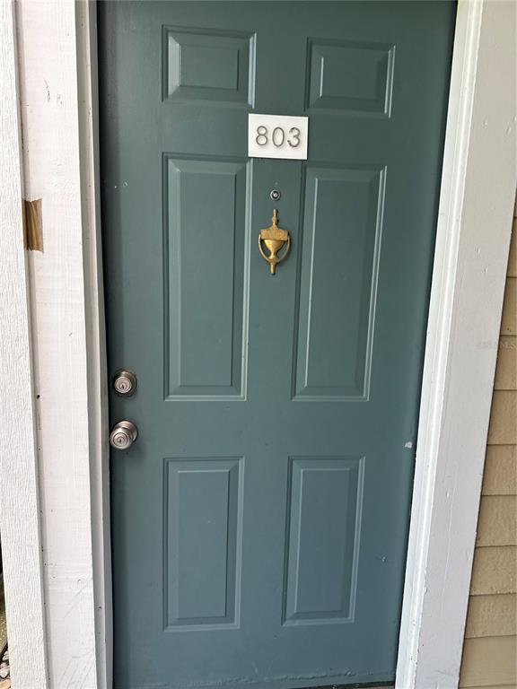 A teal-colored apartment door features the number 803, a gold door knocker, and a peephole — 10024 STRAFFORD OAK COURT UNIT 803, TAMPA, FL