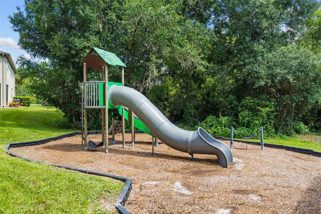 A playground with a tube slide and a swing set sits on wood chips — 14221 PONDHAWK LANE, TAMPA, FL
